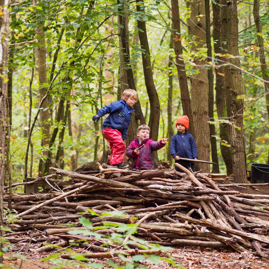 Wald als Lernumgebung
